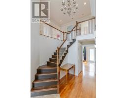 23 Brooklyn Avenue thumbnail 16