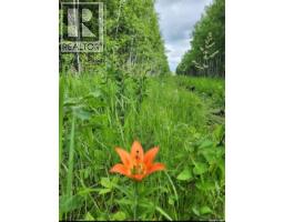 Lot 4 Poplar Grove Estates, Meadow Lake Rm No 588, SK S9X1Y7 Photo 10