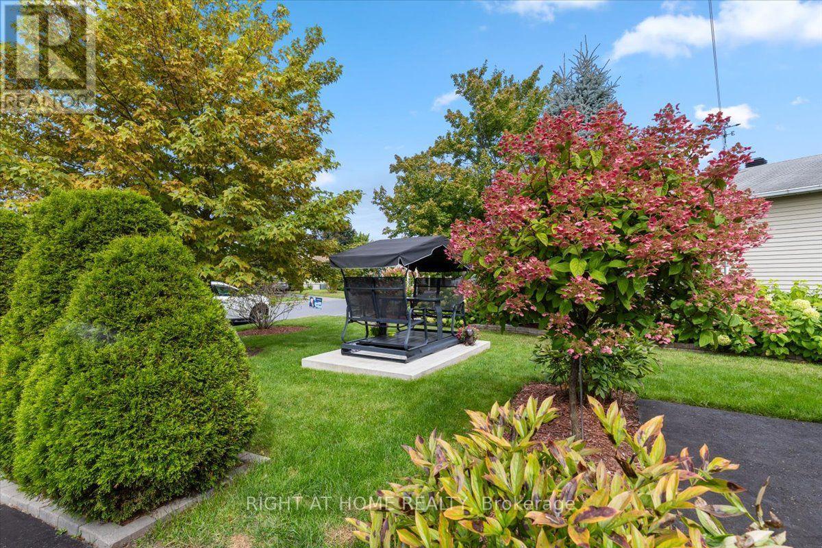 Landscape yard