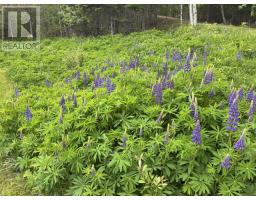 4030 Marble Mountain Road, Lime Hill, NS B0E3K0 Photo 23