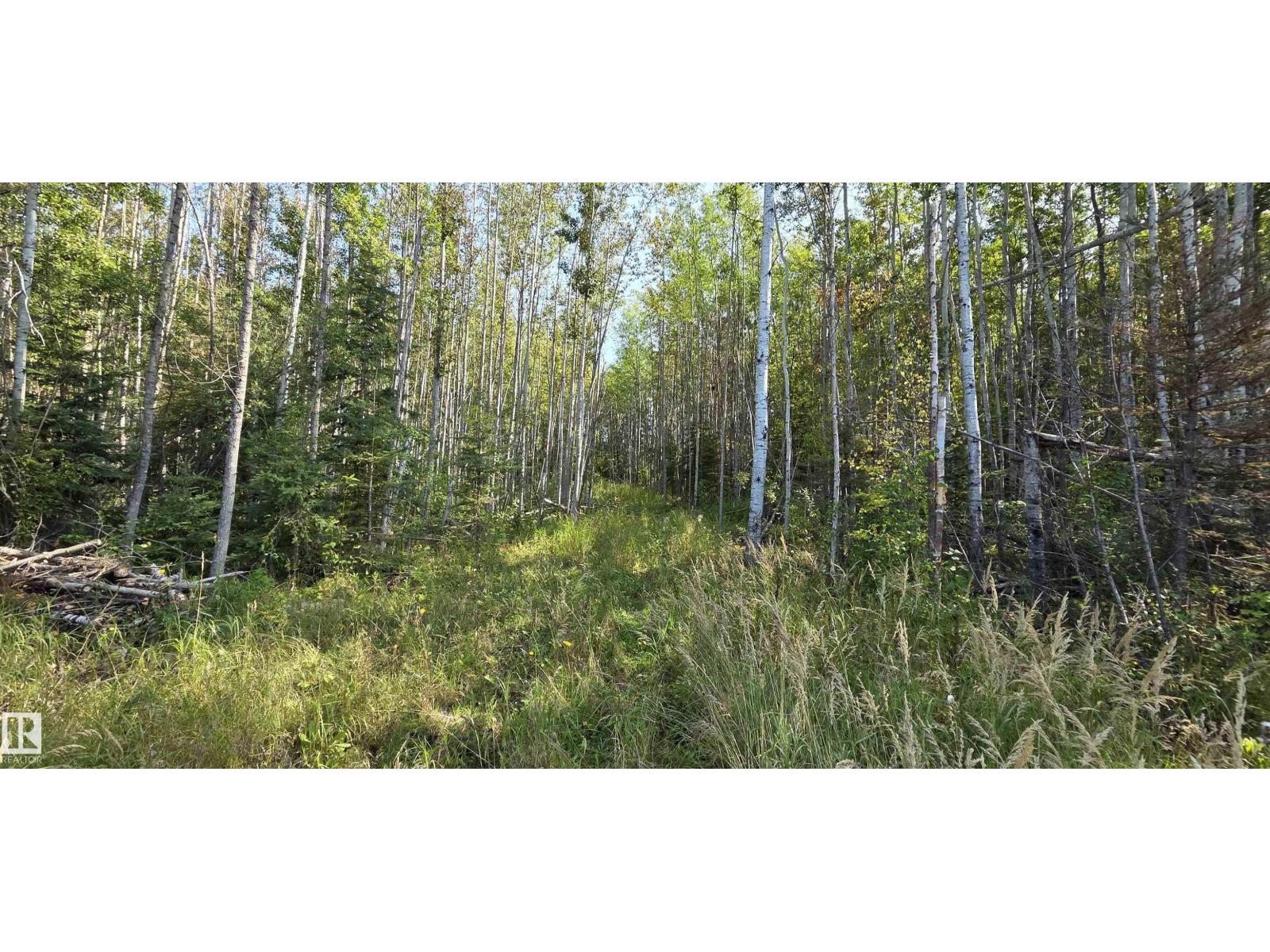720027 Rge Rd 170.5A (Wandering River), Rural Athabasca County, Alberta, T0A3M0, Rural Athabasca County, Alberta — photo 4 of 5
