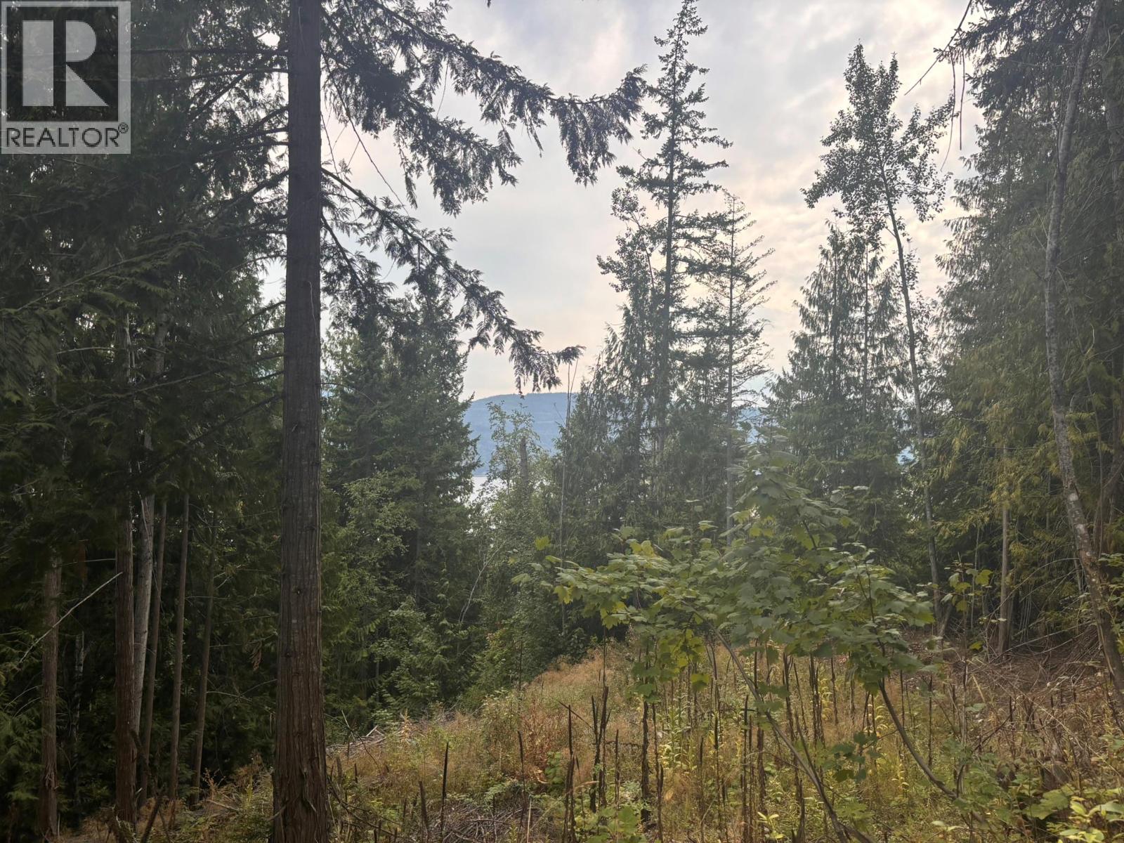 Lot 151 Columbia Drive, Anglemont, British Columbia, V0E1M8, Anglemont, British Columbia — photo 1 of 5