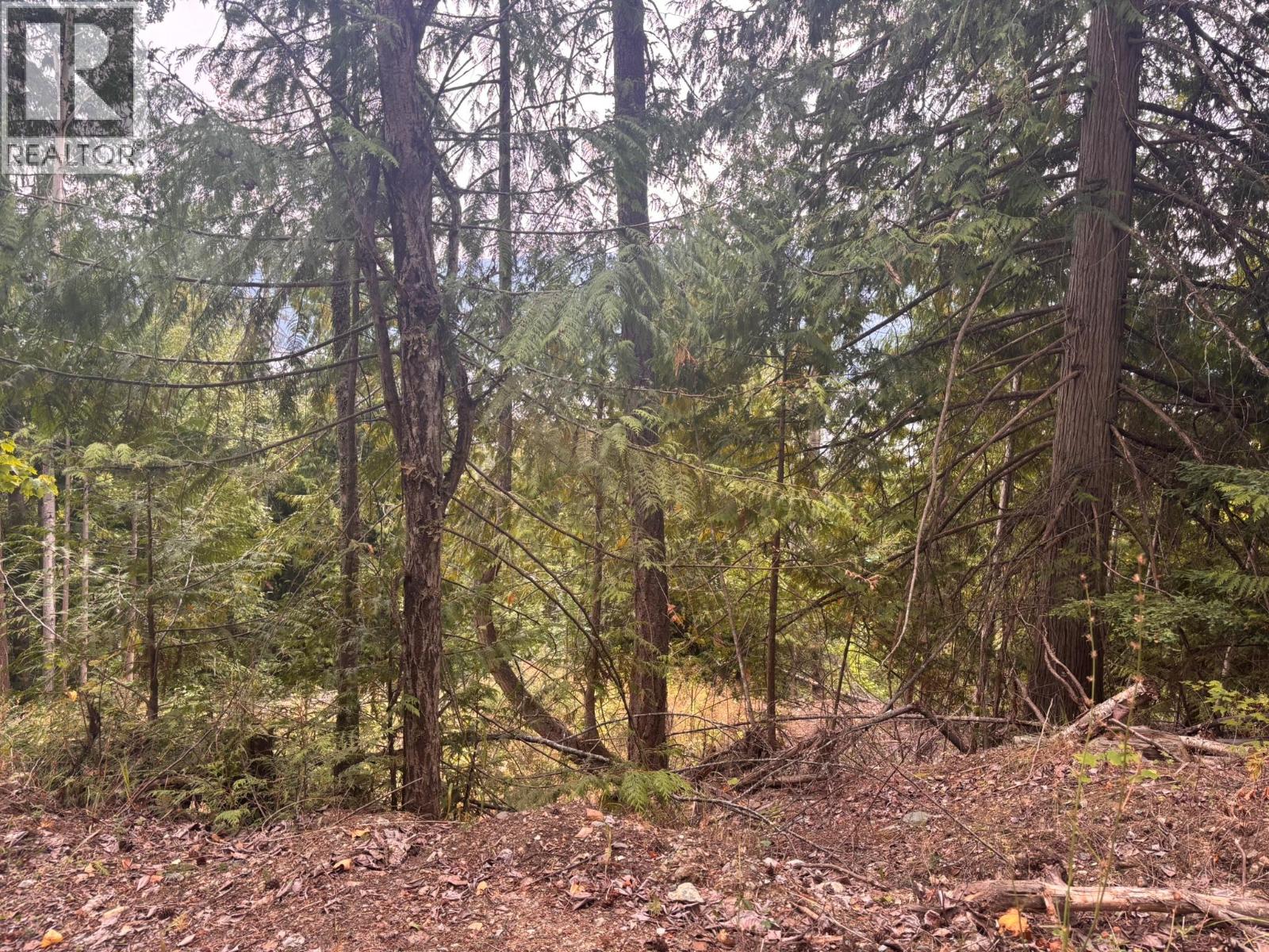 Lot 151 Columbia Drive, Anglemont, British Columbia, V0E1M8, Anglemont, British Columbia — photo 5 of 5