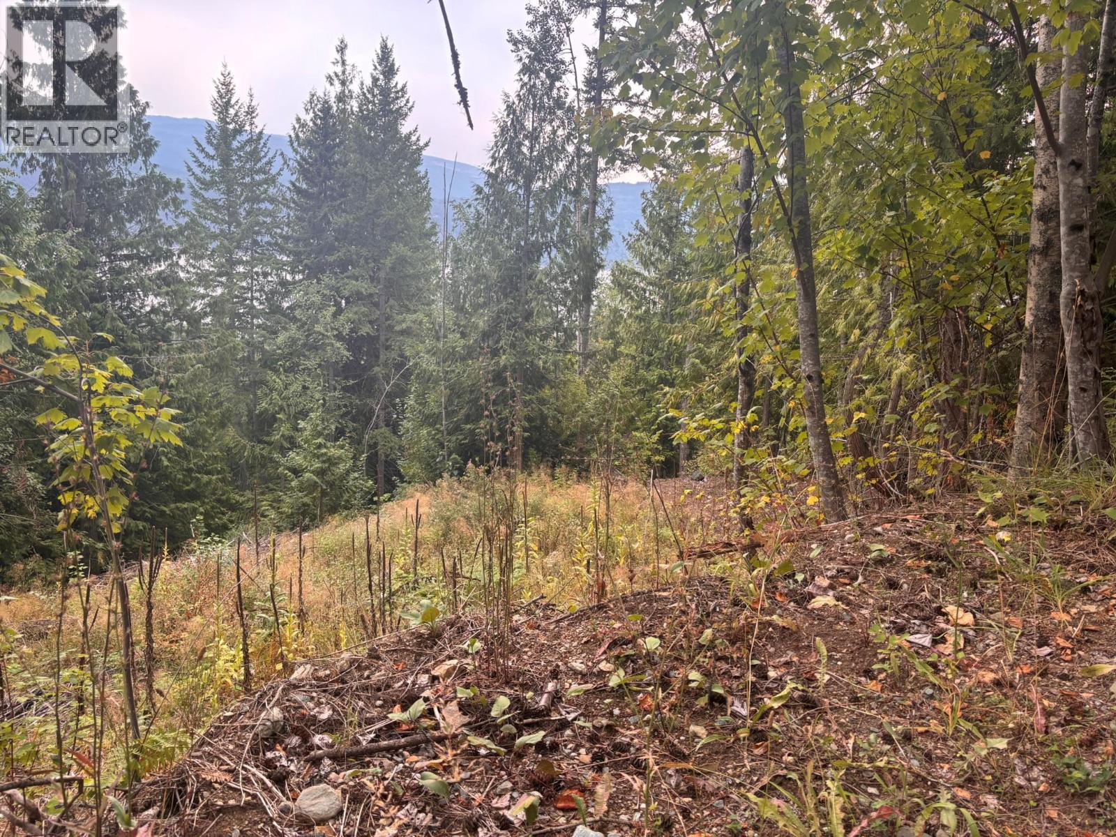 Lot 151 Columbia Drive, Anglemont, British Columbia, V0E1M8, Anglemont, British Columbia — photo 3 of 5