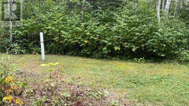 232 NICHOLETTS RD ROAD - 23