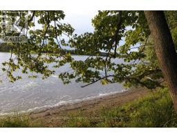 0 Butternut Island, Whitewater Region, ON K0J1C0 Photo 13