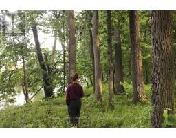 0 Butternut Island, Whitewater Region, ON K0J1C0 Photo 14