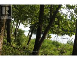 0 Butternut Island, Whitewater Region, ON K0J1C0 Photo 15