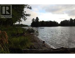 0 Butternut Island, Whitewater Region, ON K0J1C0 Photo 16