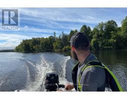0 Butternut Island, Whitewater Region, ON K0J1C0 Photo 17