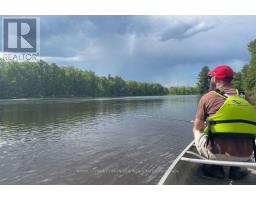 0 Butternut Island, Whitewater Region, ON K0J1C0 Photo 18
