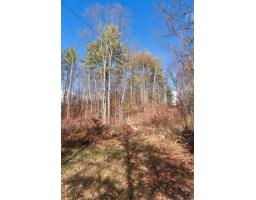 54 Ch. Isok, Waltham, QC J0X1M0 Photo 32