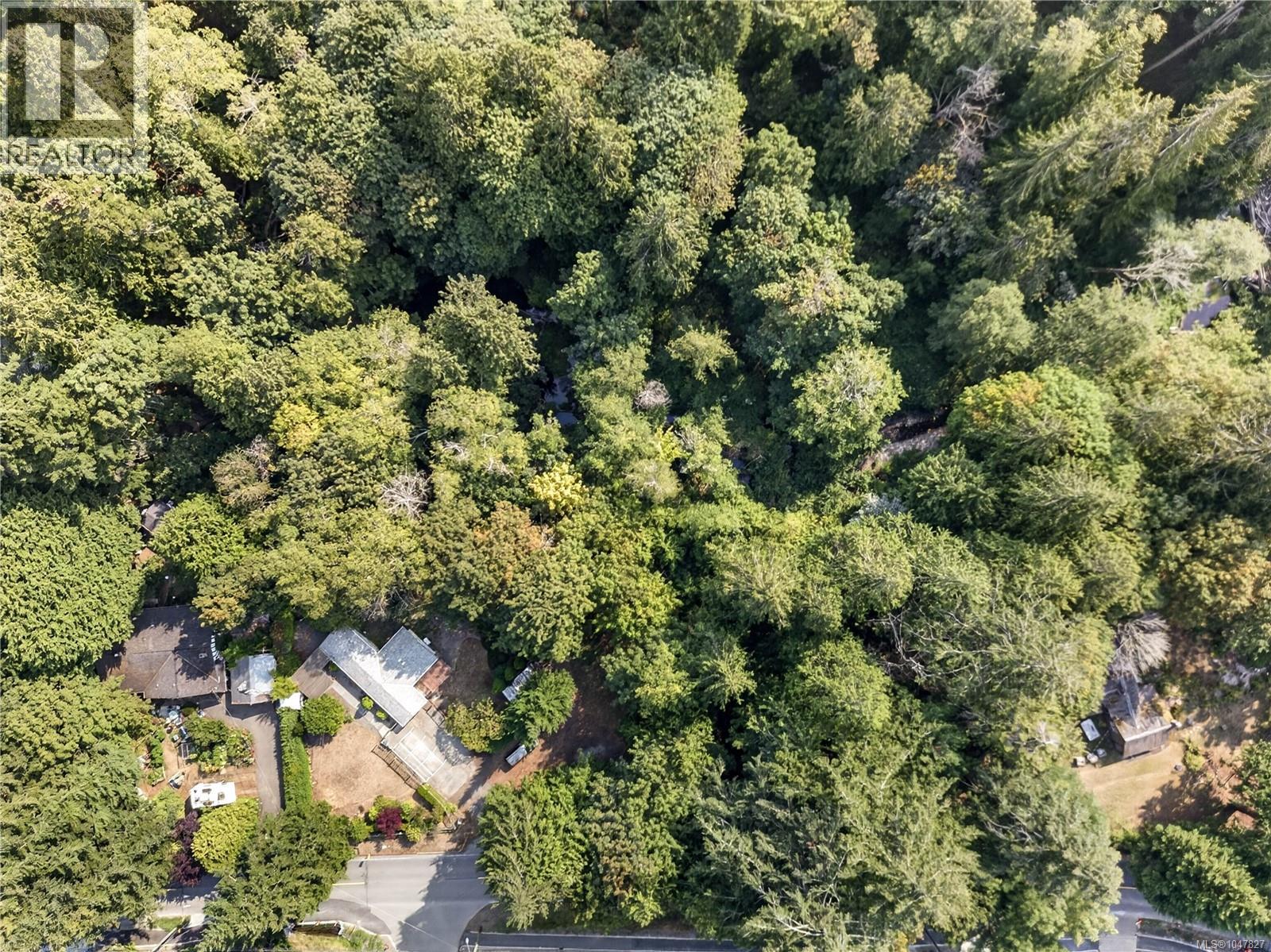 205 Atkins Rd - 11
