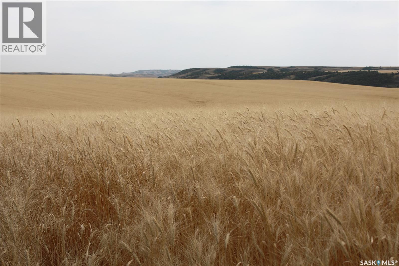 214.99 Acres Grainland Near Willow Bunch, Willow Bunch Rm No. 42, Saskatchewan, S0H4K0, Willow Bunch Rm No. 42, Saskatchewan — photo 1 of 5