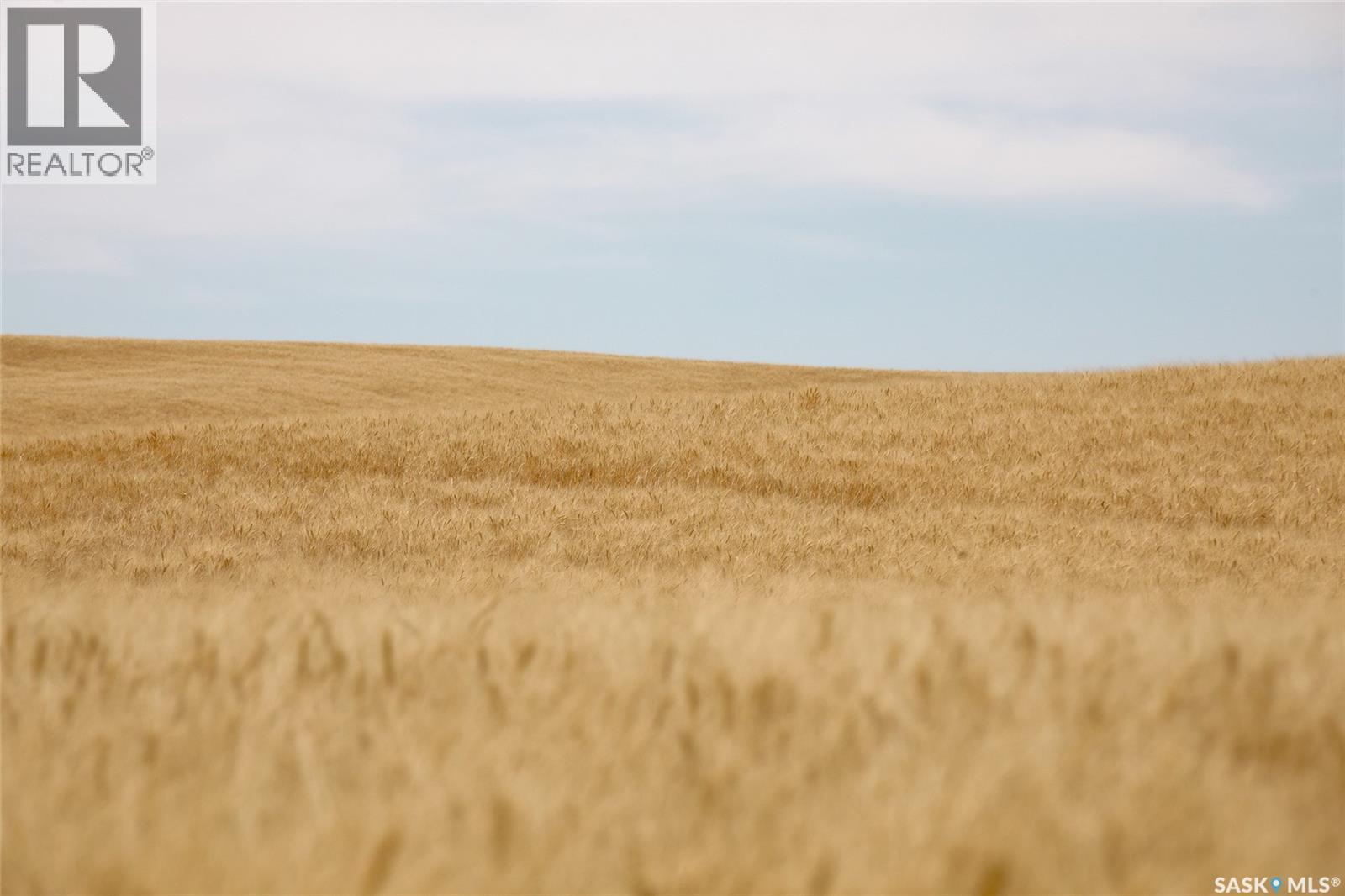 214.99 Acres Grainland Near Willow Bunch, Willow Bunch Rm No. 42, Saskatchewan, S0H4K0, Willow Bunch Rm No. 42, Saskatchewan — photo 3 of 5