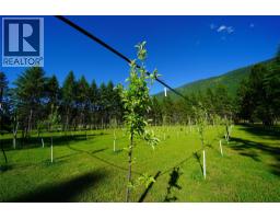 Kitchen - 1062 Scamp Road, Castlegar, BC V1N4R3 Photo 13