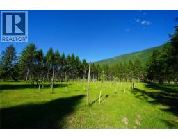 Living room - 1062 Scamp Road, Castlegar, BC V1N4R3 Photo 12