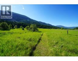 1062 Scamp Road, Castlegar, BC V1N4R3 Photo 31