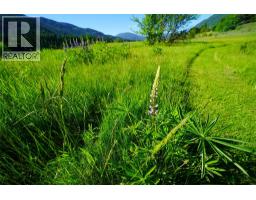 1062 Scamp Road, Castlegar, BC V1N4R3 Photo 40