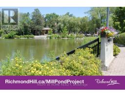 Bsmt - 186 Driscoll Road, Richmond Hill, ON L4C4H7 Photo 17