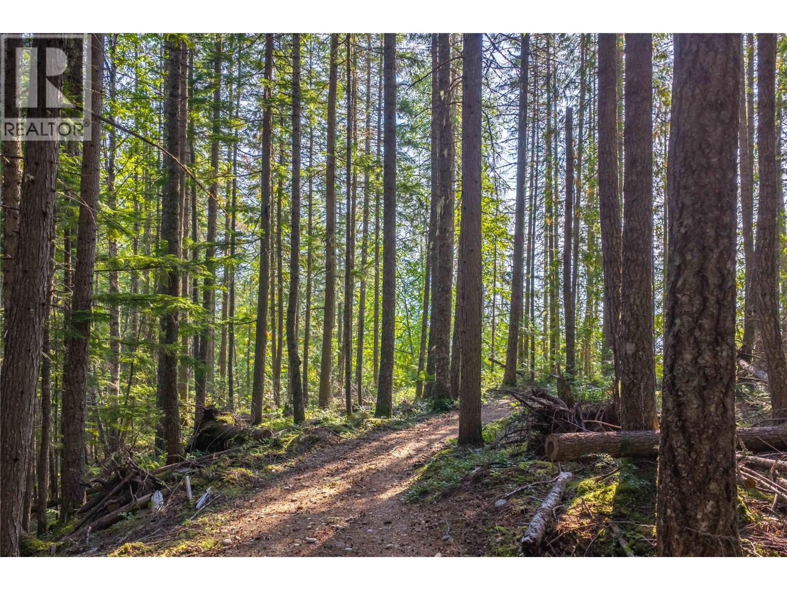 8044 23 South Highway, Revelstoke