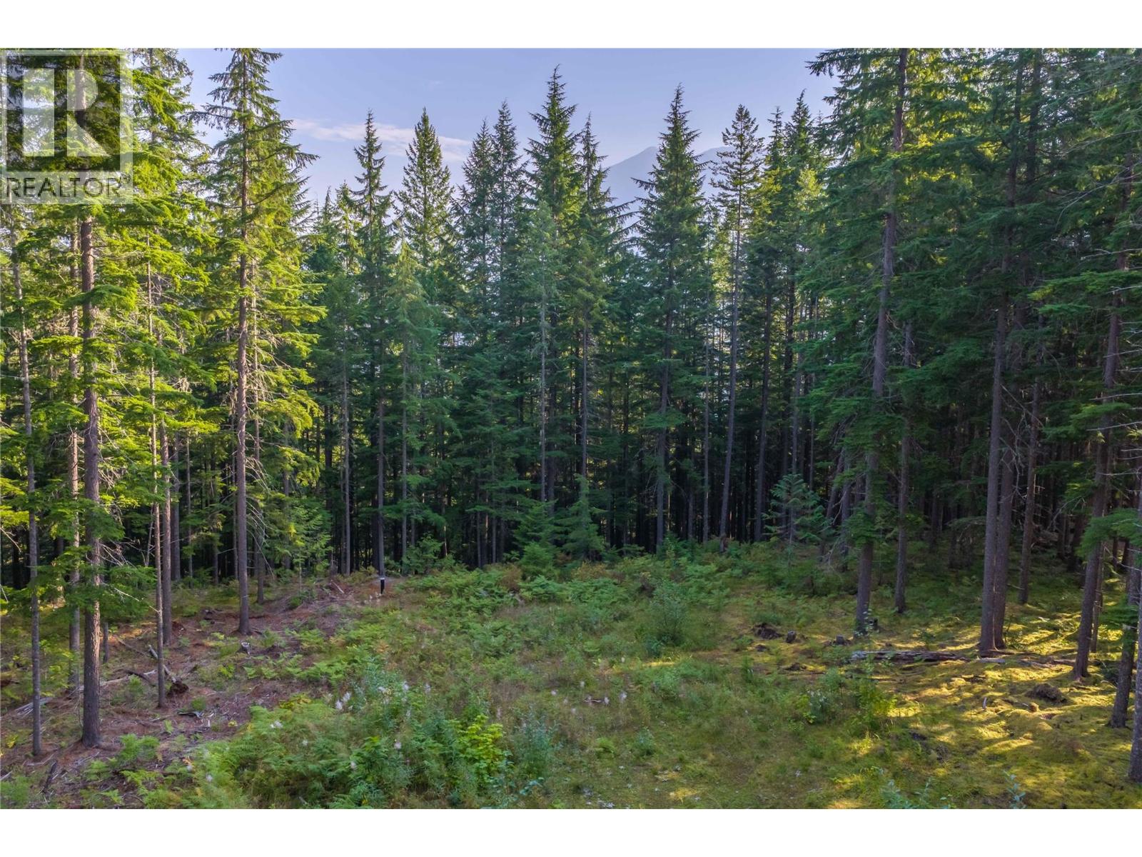 8044 23 South Highway, Revelstoke