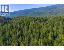 8044 23 South Highway, Revelstoke, BC V0E2S0 Photo 24