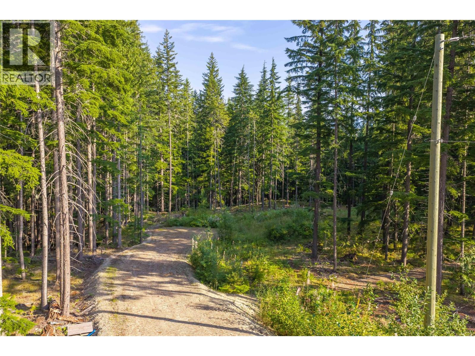 8044 23 South Highway, Revelstoke