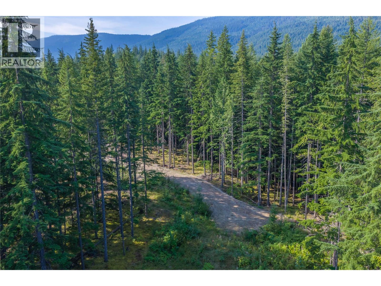 8044 23 South Highway, Revelstoke