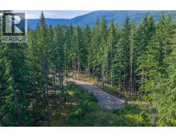8044 23 South Highway, Revelstoke, BC V0E2S0 Photo 55