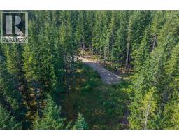 8044 23 South Highway, Revelstoke, BC V0E2S0 Photo 56