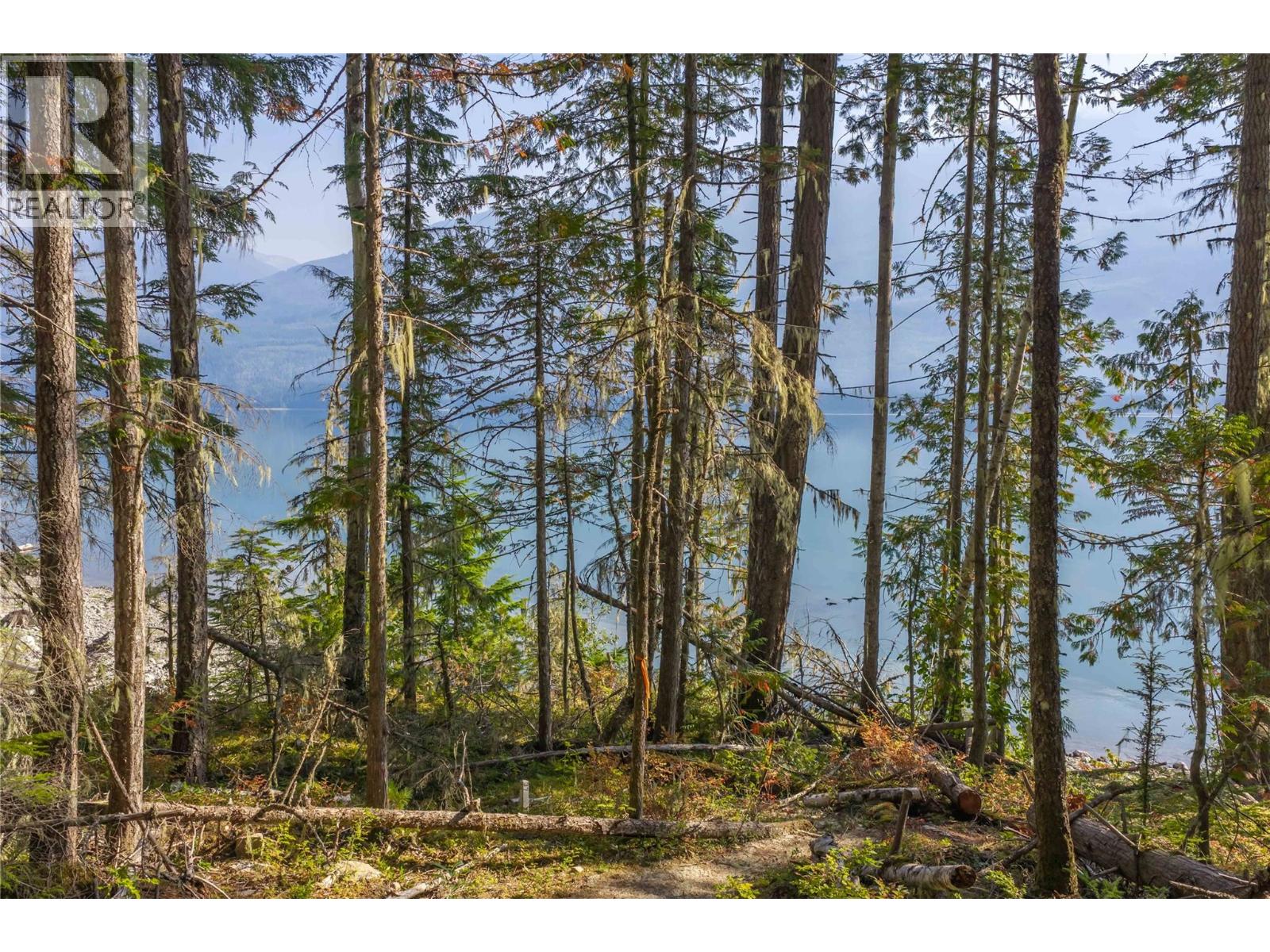 8044 23 South Highway, Revelstoke