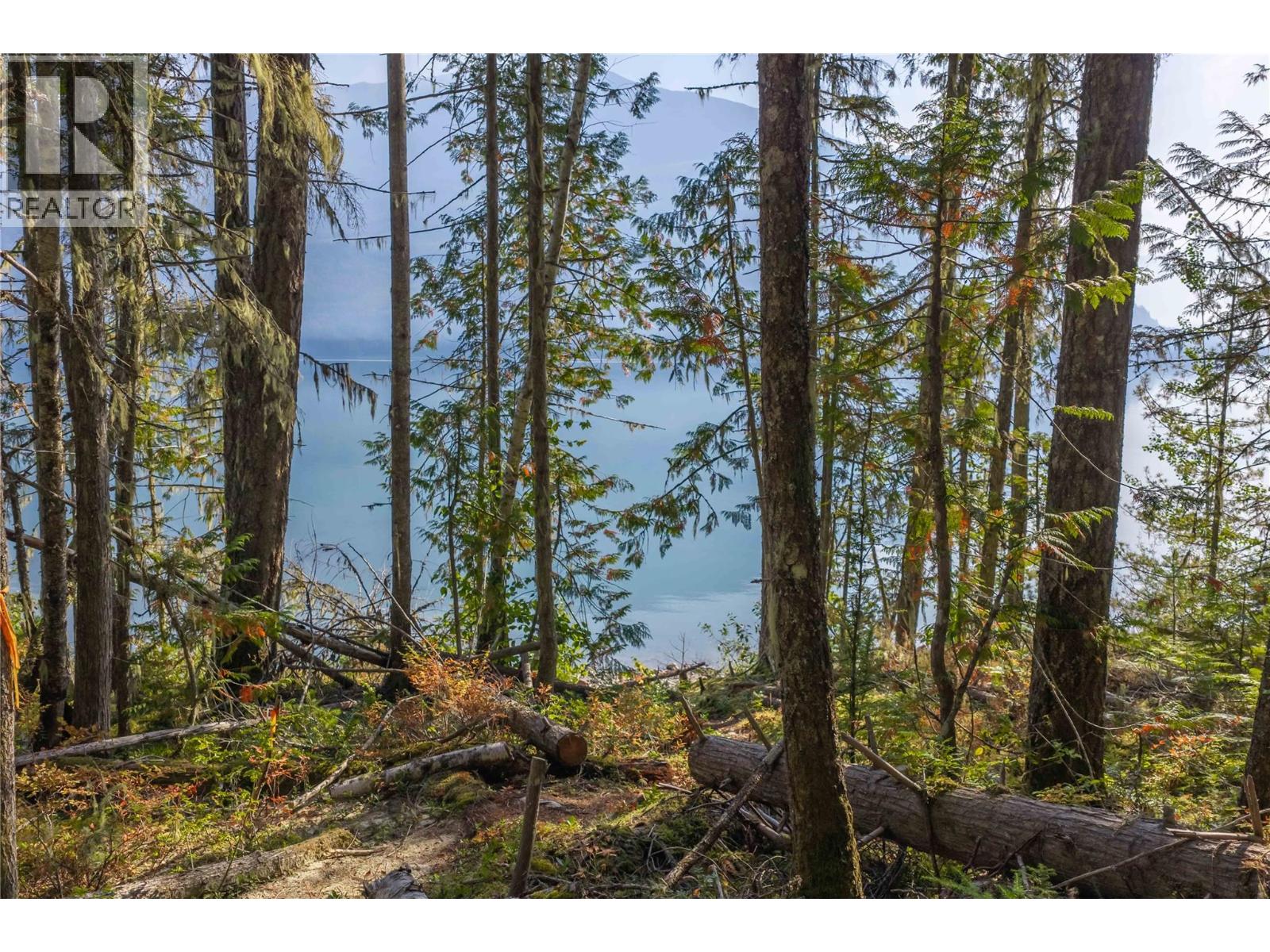 8044 23 South Highway, Revelstoke
