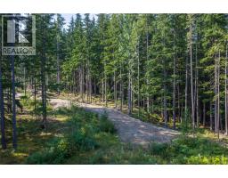 8044 23 South Highway, Revelstoke, BC V0E2S0 Photo 54