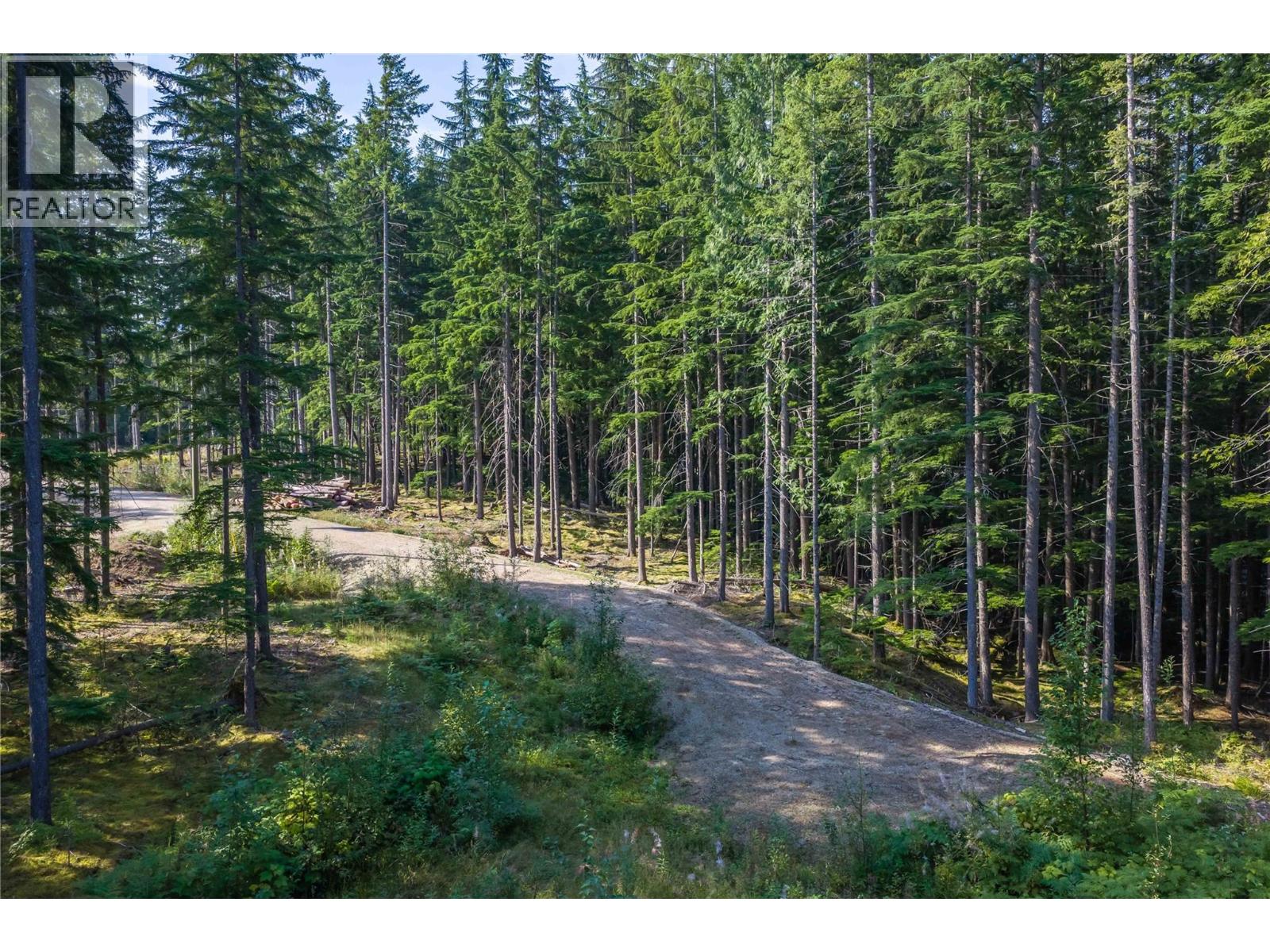 8044 23 South Highway, Revelstoke