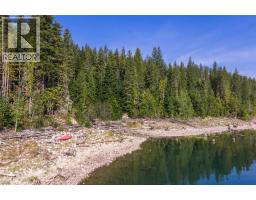 8044 23 South Highway, Revelstoke, BC V0E2S0 Photo 33
