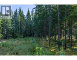 8044 23 South Highway, Revelstoke, BC V0E2S0 Photo 50