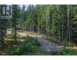 8044 23 South Highway, Revelstoke, BC V0E2S0 Photo 53