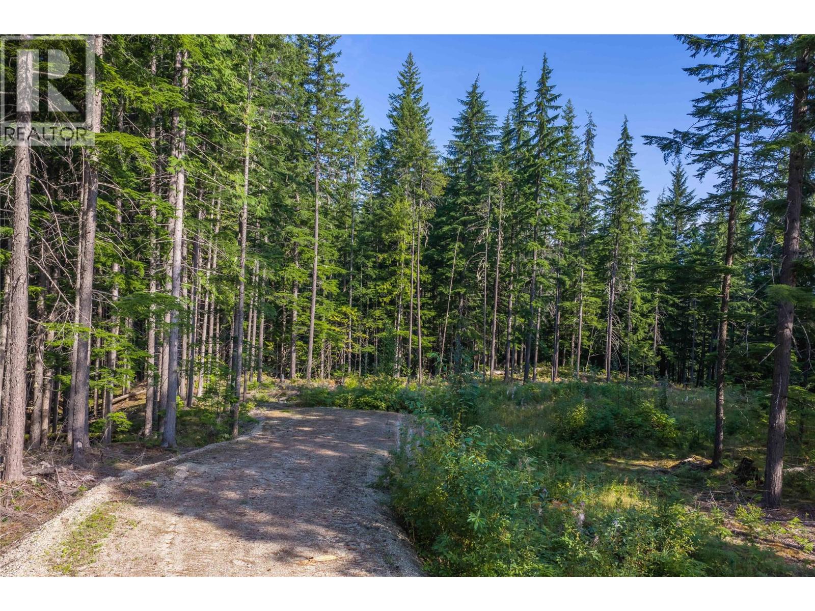 8044 23 South Highway, Revelstoke