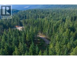 8044 23 South Highway, Revelstoke, BC V0E2S0 Photo 57
