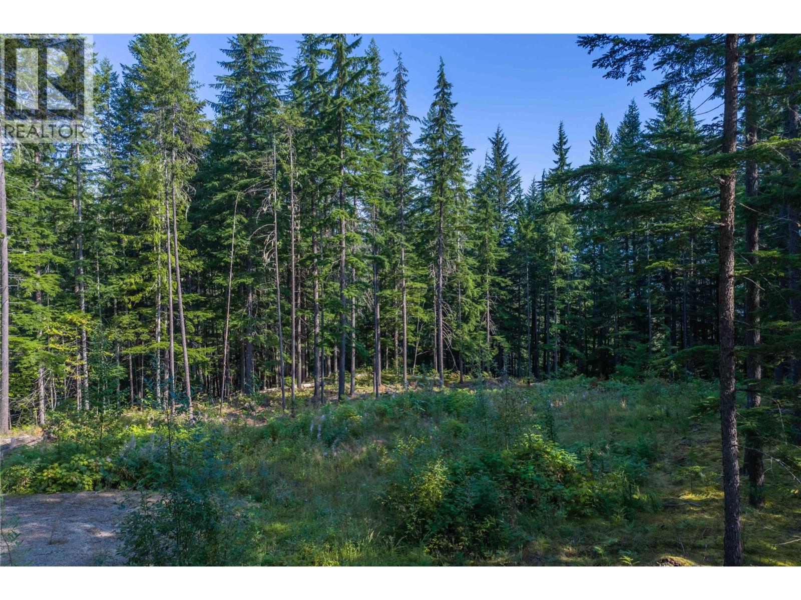 8044 23 South Highway, Revelstoke