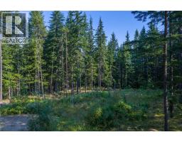 8044 23 South Highway, Revelstoke, BC V0E2S0 Photo 51