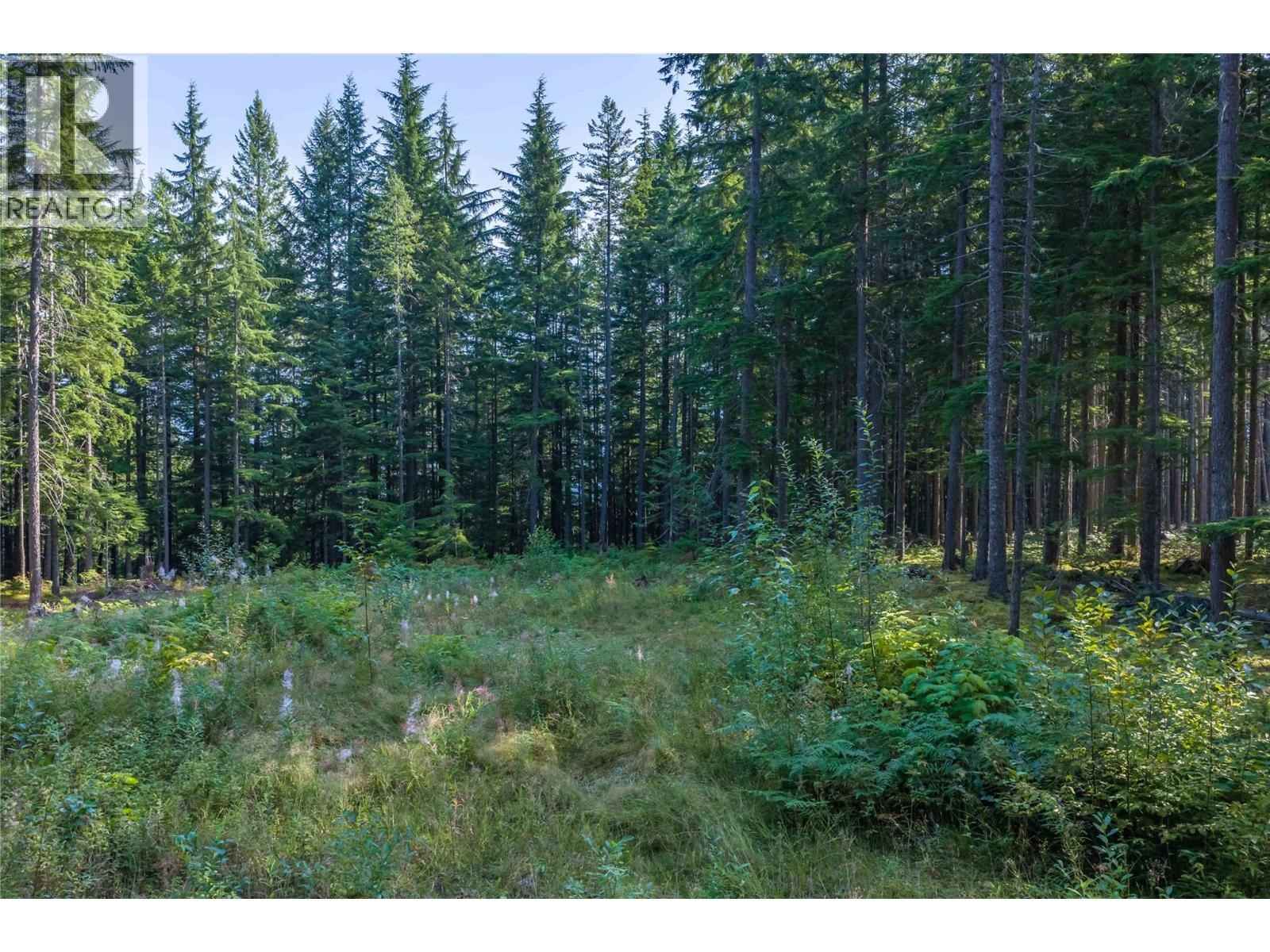 8044 23 South Highway, Revelstoke