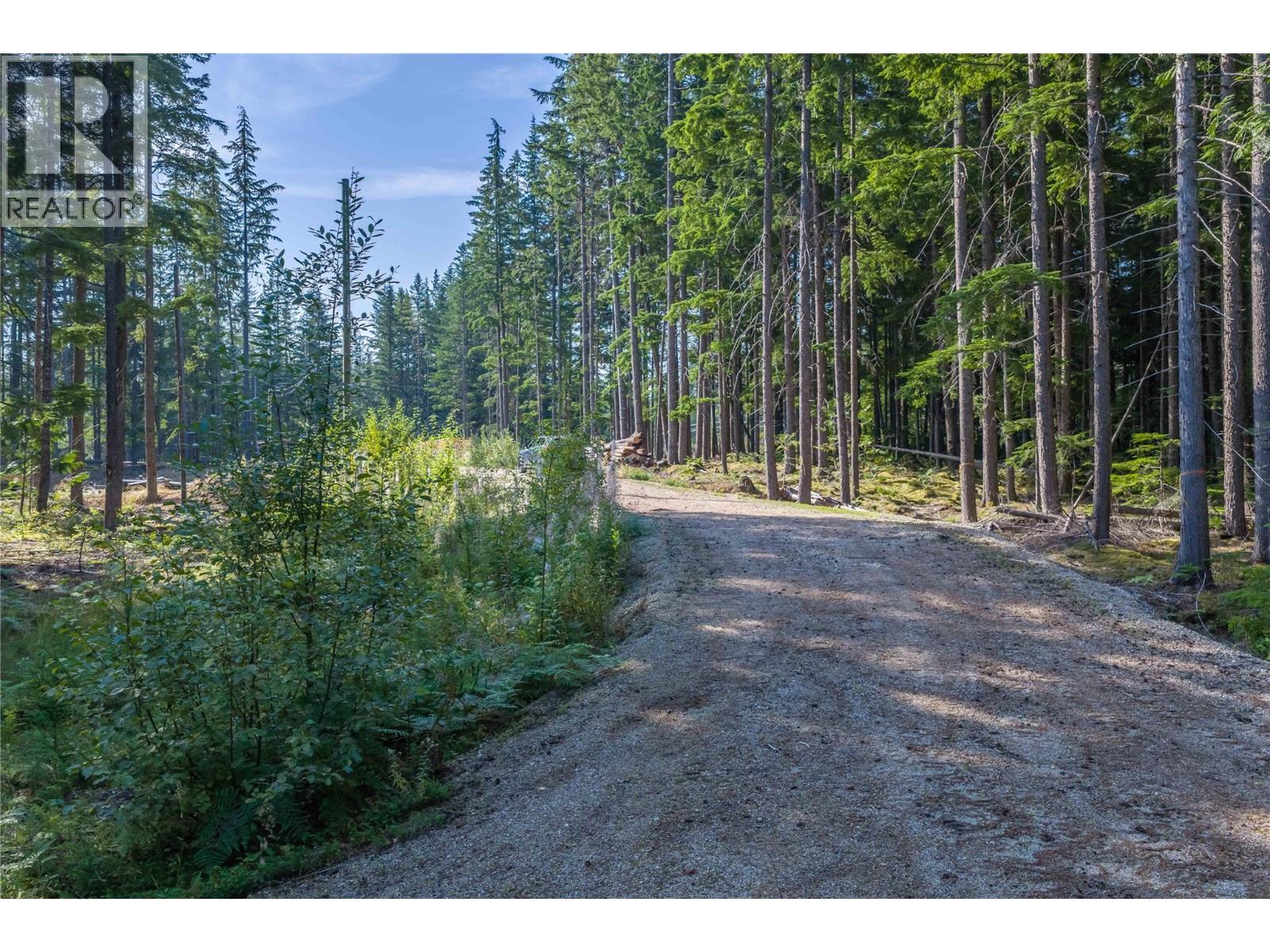 8044 23 South Highway, Revelstoke