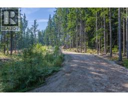 8044 23 South Highway, Revelstoke, BC V0E2S0 Photo 52