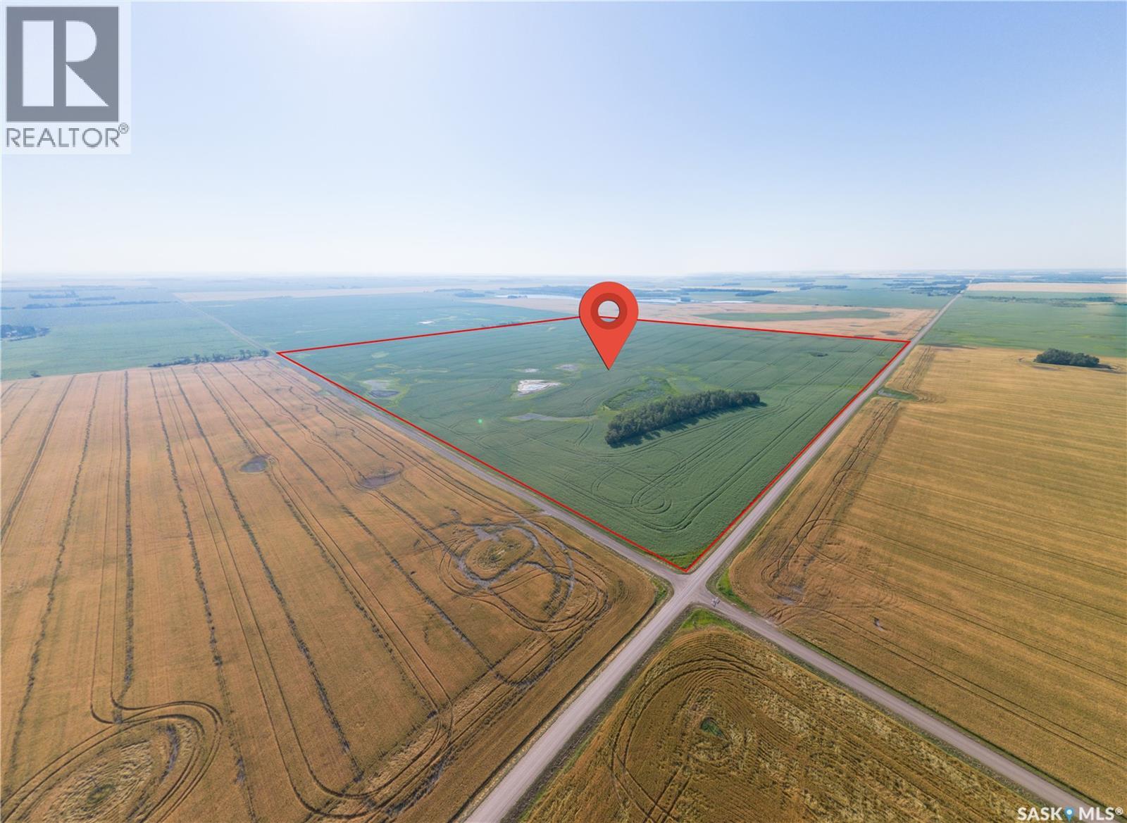 Blacklaws Land, Tisdale Rm No. 427 Saskatchewan — photo 7