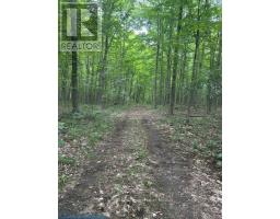 0 Armstrong Road, Merrickville Wolford, ON K0G1N0 Photo 20