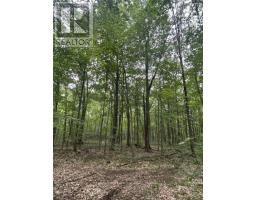 0 Armstrong Road, Merrickville Wolford, ON K0G1N0 Photo 18