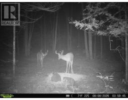0 Armstrong Road, Merrickville Wolford, ON K0G1N0 Photo 27