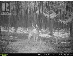 0 Armstrong Road, Merrickville Wolford, ON K0G1N0 Photo 26